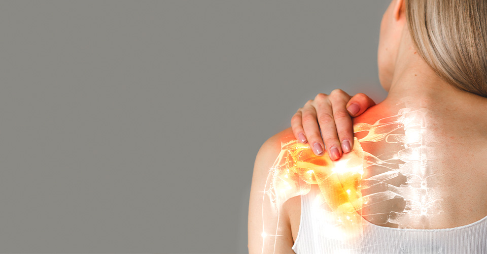 Shoulder Joint and Upper Limb in Physiotherapy Practice