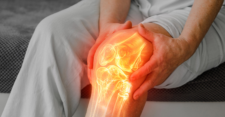 Knee Joint and Lower Limb in Physiotherapy Practice